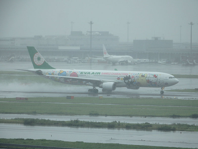 Airplane Model